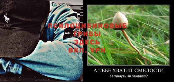 прущая мука Алзамай
