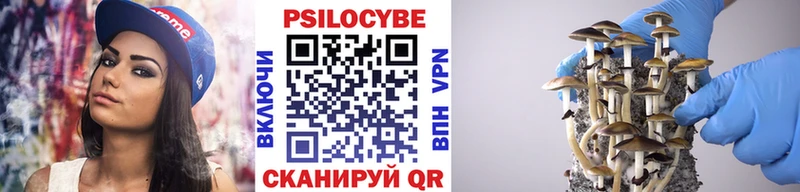Галлюциногенные грибы мухоморы  дарнет шоп  Карабулак 