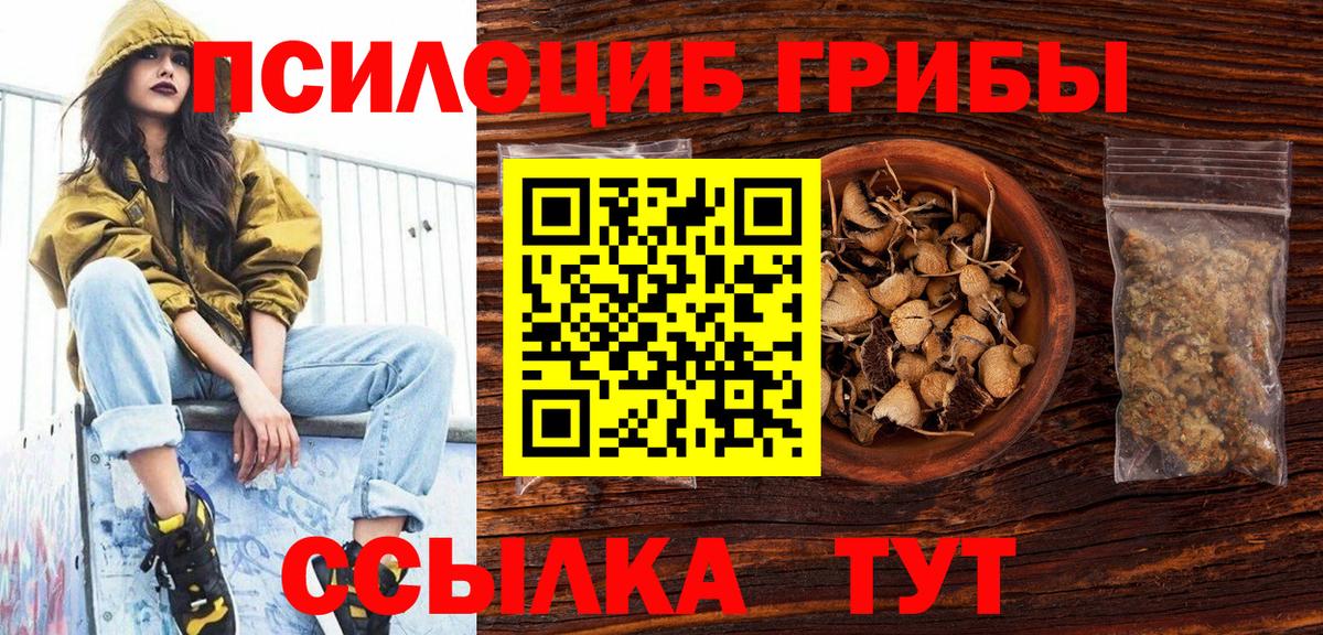 Псилоцибиновые грибы GOLDEN TEACHER Карабулак