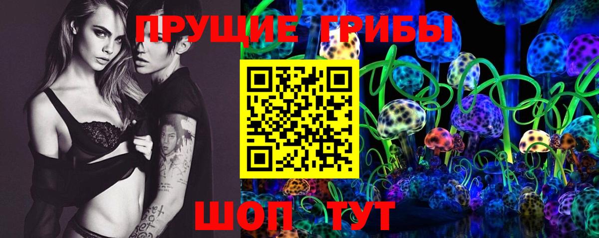 Карабулак  Псилоцибиновые грибы GOLDEN TEACHER  хочу наркоту  Вход с VPN  Псилоцибиновые грибы ЛСД 